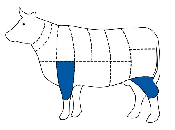 Chart of cattle with Shin cut highlighted in blue